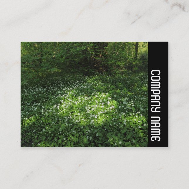 Tarjeta De Visita Banda lateral - Punto de ajo (Anverso)