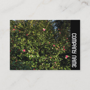 Tarjeta De Visita Banda lateral - Rojo Camellia Bush