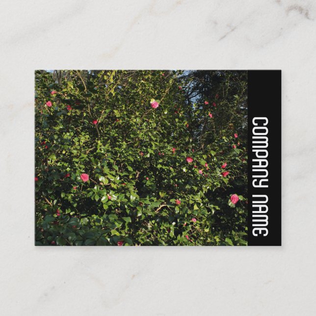 Tarjeta De Visita Banda lateral - Rojo Camellia Bush (Anverso)