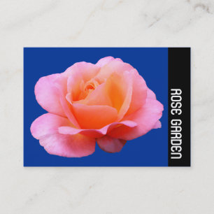 Tarjeta De Visita Banda lateral - Rosa rosa (Azul profundo)