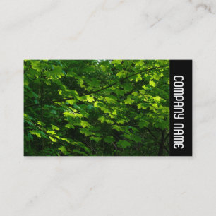 Tarjeta De Visita Banda lateral - Saltos en primavera