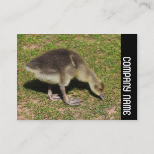 Tarjeta De Visita Banda lateral - Sonido