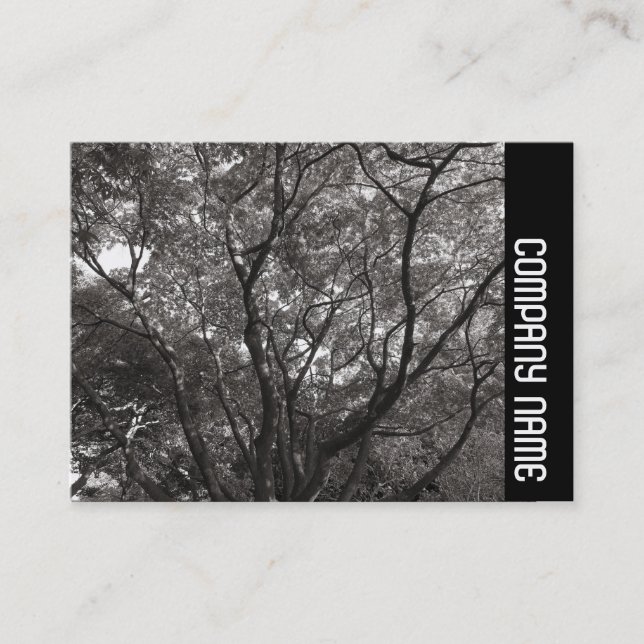 Tarjeta De Visita Banda lateral - Sucursales Japonesas 02 (Anverso)