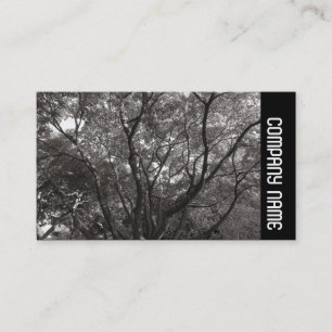 Tarjeta De Visita Banda lateral - Sucursales Japonesas 02