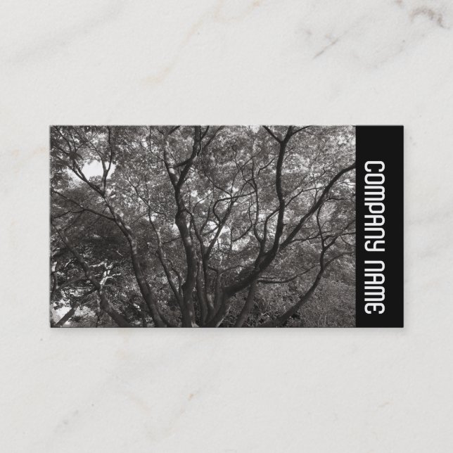 Tarjeta De Visita Banda lateral - Sucursales Japonesas 02 (Anverso)