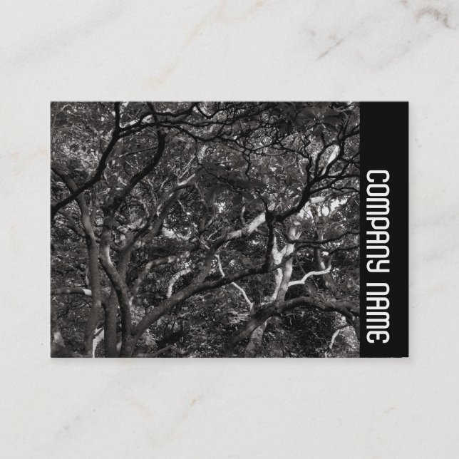 Tarjeta De Visita Banda lateral - Sucursales Japonesas 03 (Anverso)