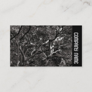 Tarjeta De Visita Banda lateral - Sucursales Japonesas 03