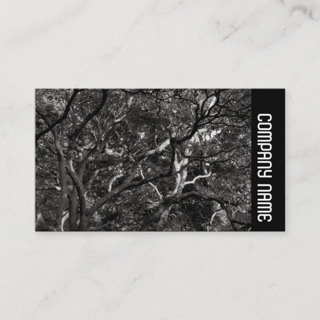 Tarjeta De Visita Banda lateral - Sucursales Japonesas 03 (Anverso)