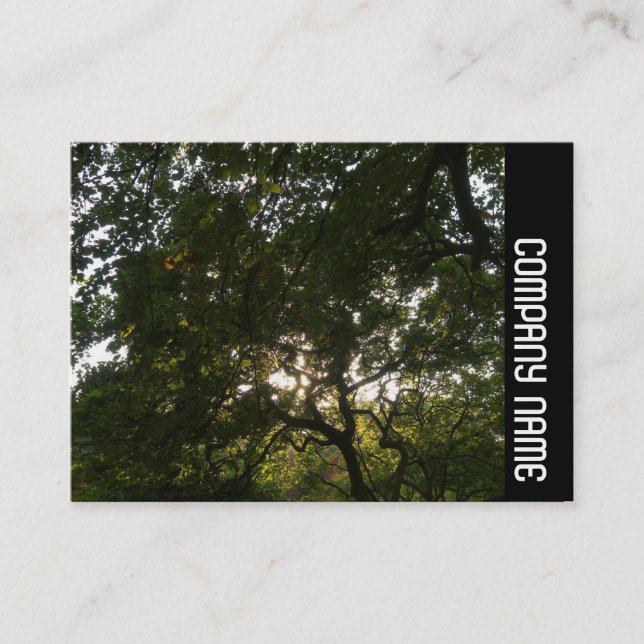 Tarjeta De Visita Banda lateral - Sucursales Japonesas 04 (Anverso)