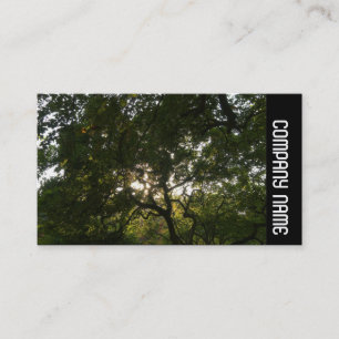 Tarjeta De Visita Banda lateral - Sucursales Japonesas 04