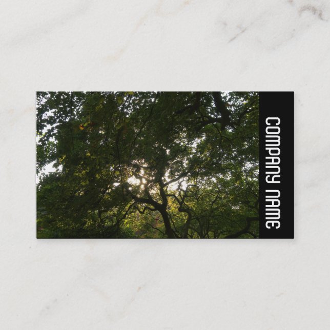 Tarjeta De Visita Banda lateral - Sucursales Japonesas 04 (Anverso)