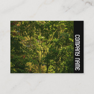 Tarjeta De Visita Banda lateral - Sucursales Japonesas 05