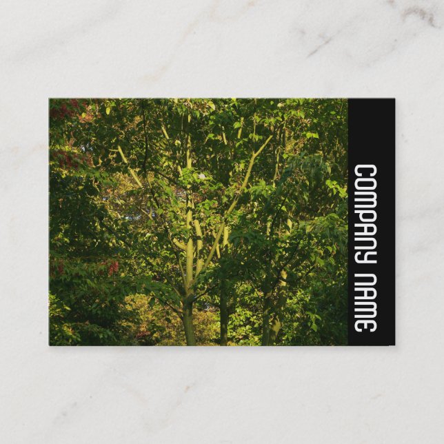 Tarjeta De Visita Banda lateral - Sucursales Japonesas 05 (Anverso)