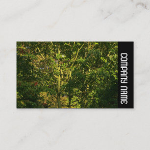 Tarjeta De Visita Banda lateral - Sucursales Japonesas 05