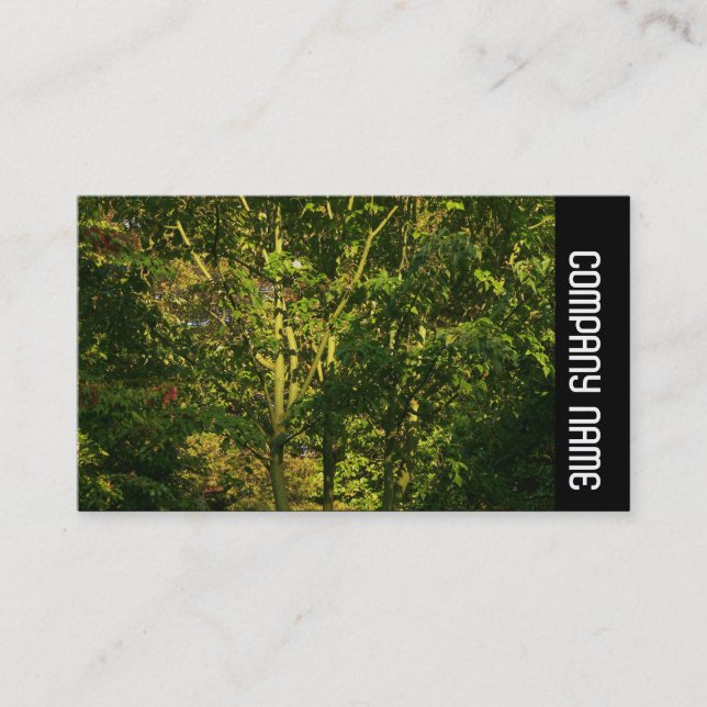 Tarjeta De Visita Banda lateral - Sucursales Japonesas 05 (Anverso)