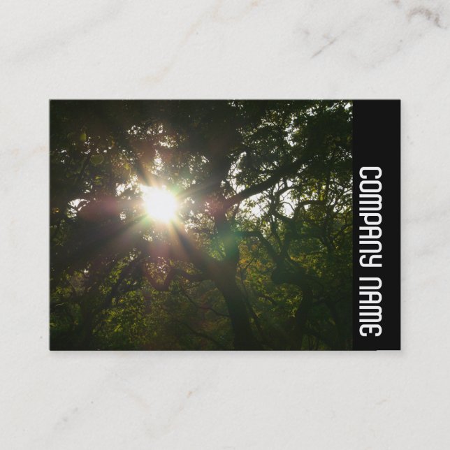 Tarjeta De Visita Banda lateral - Sucursales Japonesas 07 (Anverso)