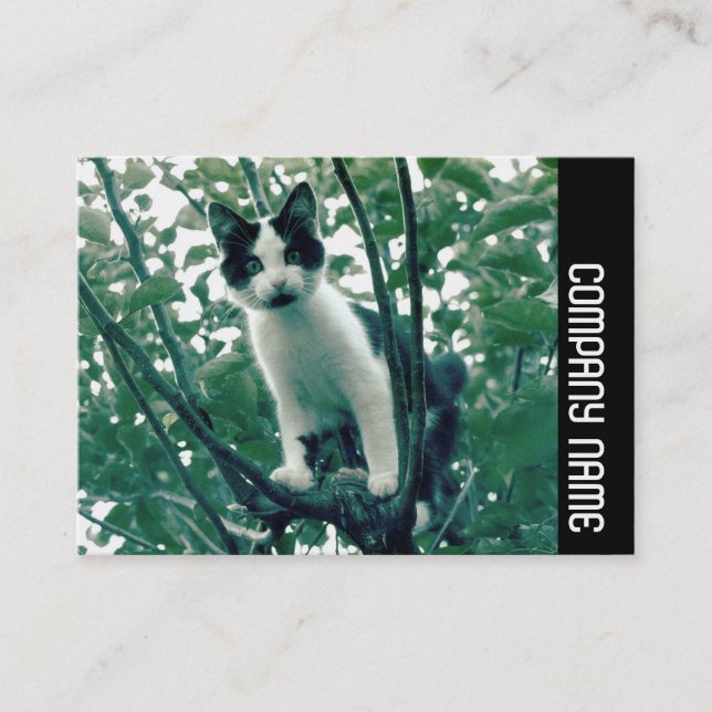 Tarjeta De Visita Banda lateral - Superfluidad de la nitidez (Anverso)