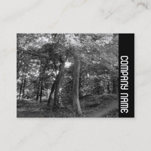 Tarjeta De Visita Banda lateral - Verano en los bosques