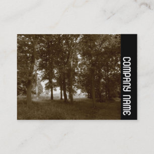 Tarjeta De Visita Banda lateral - Woods, Bute Park Cardiff - Sepia t