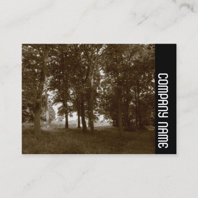 Tarjeta De Visita Banda lateral - Woods, Bute Park Cardiff - Sepia t (Anverso)