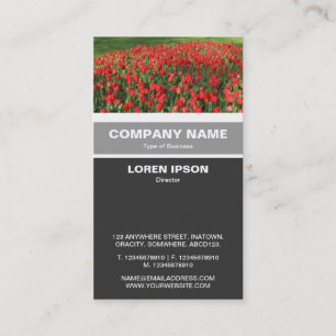 Tarjeta De Visita Banda vertical - Cama de tulipanes rojos 02