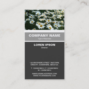 Tarjeta De Visita Banda vertical - Shasta Daisies
