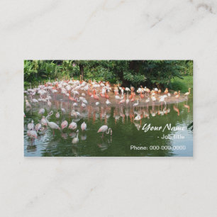 Tarjeta De Visita bandada de flamencos rosas