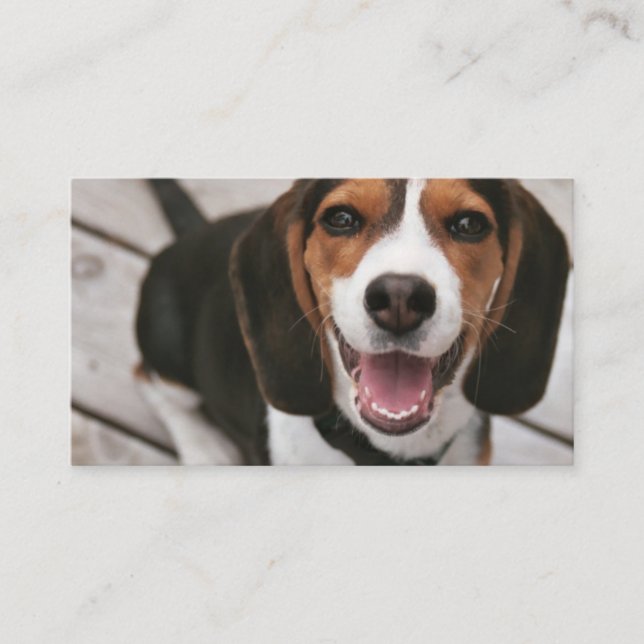 Tarjeta De Visita Beagle_puppy sentado (Anverso)