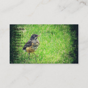 Tarjeta De Visita Bebé Robin