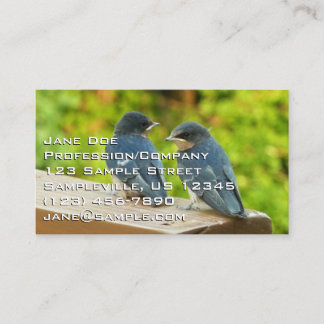 Tarjeta De Visita Bebé Traga fotografías de aves naturales