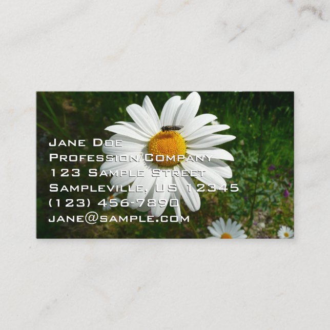 Tarjeta De Visita Bee on Daisy Alaskan Summer Nature Photo (Anverso)