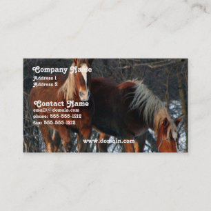 Tarjeta de visita belga del caballo de proyecto