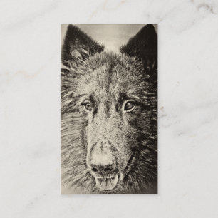 Tarjeta De Visita Belga Tervuren
