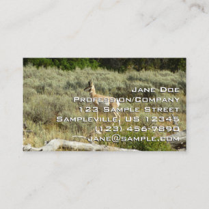 Tarjeta De Visita Berrendo en el Parque Nacional Grand Teton
