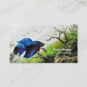 Tarjeta De Visita Betta Fish
