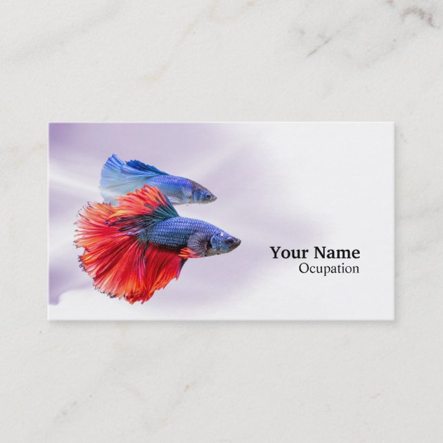 Tarjeta De Visita Betta Fish (Anverso)