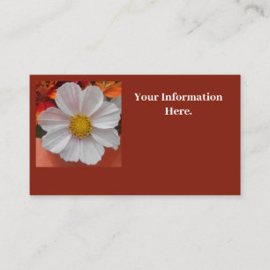 Tarjeta De Visita Betún