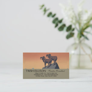 Tarjeta De Visita Bighorn Oveja Estadounidense Vida Silvestre Occide