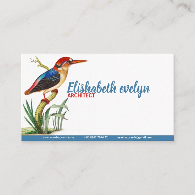 Tarjeta De Visita Birds Kingfisher Vintage Art (Anverso)
