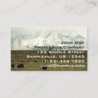 Tarjeta De Visita Bison en la fotografía del parque nacional del Gra
