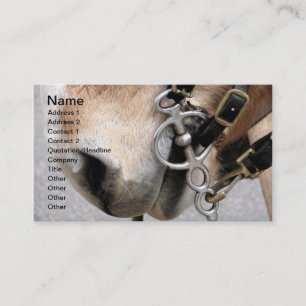 Tarjeta De Visita bit de conducción