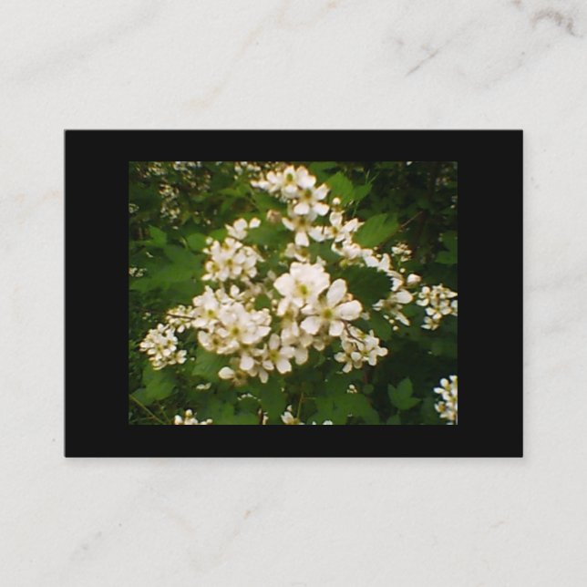 Tarjeta De Visita Blackberry Blossom (Anverso)