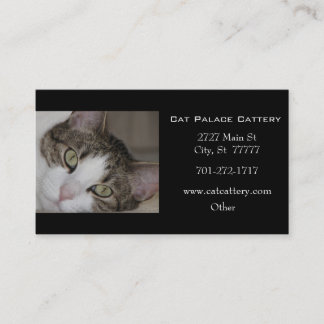Tarjeta de visita blanca del gato de Tabby