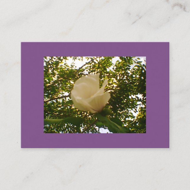 Tarjeta De Visita Bloom de rosa blanca semi brillante (Anverso)