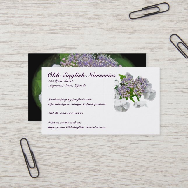Tarjeta de visita Blue Lace Hydrangea (Anverso/Reverso In Situ)