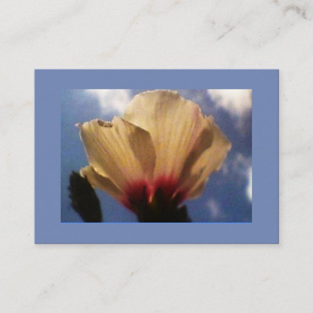 Tarjeta De Visita Blue Sky White Rose (Anverso)
