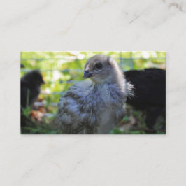 Tarjeta De Visita Bluebell