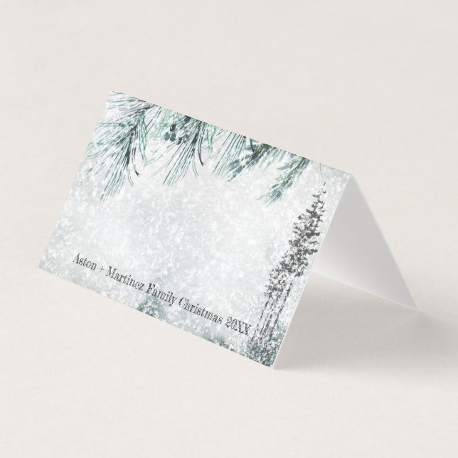 Tarjeta De Visita Blustering Winter Storm Guest Seplace Card (Anverso)