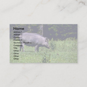 Tarjeta De Visita Boar salvaje