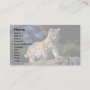 Tarjeta De Visita Bobcat